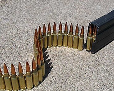 6.5 grendel for ar15