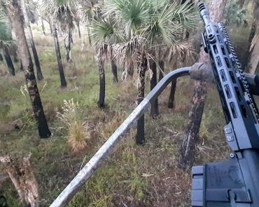 hunting with an ar15