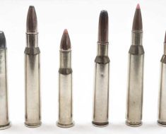 best hunting rifle ammunition