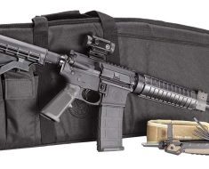 ar15 with case