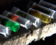 Ballistic Gel Tests: Which Ammo Performs Best?