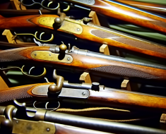 Collecting Early 20th Century Sporting Rifles