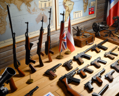 Collecting Firearms from the Cold War Era