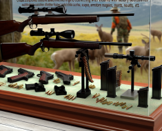 Collecting Firearms with Factory Accessories