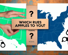 Federal vs State Gun Laws: Which Rules Apply to You?
