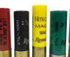 shotgun ammunition