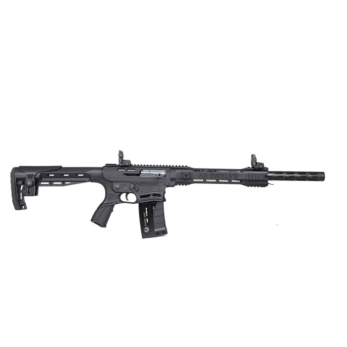 Panzer Arms AR-Twelve