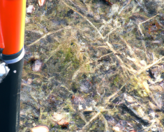 Rifle Ammunition in Extreme Weather: Performance and Handling