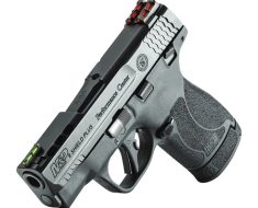 smith and Wesson shield plus