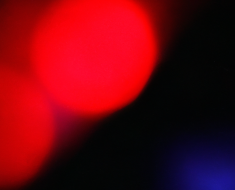 The Best Red Dots for Budget-Conscious Shooters