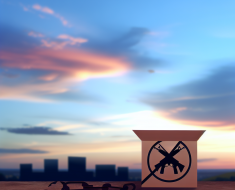 The Future of Assault Weapons Bans: What’s Next?