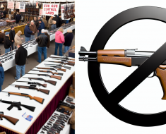 The Impact of Gun Control Laws on Gun Shows