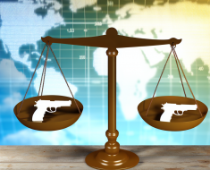 The Impact of Gun Control Measures on Crime Rates