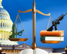 The Role of Gun Lobbying Groups in Legislation